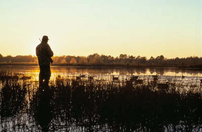 A waterfowl hunter stands in a marsh at sunset